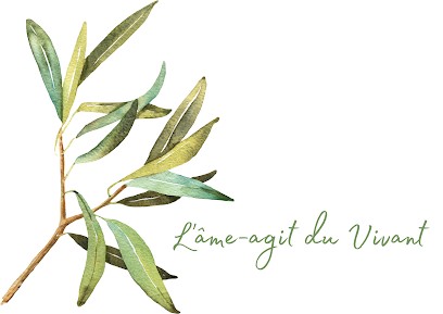 Landes Homéostasie Naturopathie - Mathilde Monboisset, Praticien de Médecine Alternative à Dax