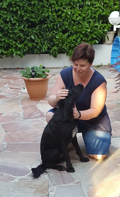 Kinésiologie Animale En Savoie 73 | Caroline Dordolo | Contact, Praticien de Médecine Alternative à Challes-les-Eaux