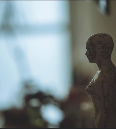 Medecine Traditionnelle Chinoise/ Naturopathe/ Pennec Claire, Praticien de Médecine Alternative à Pont-l'Abbé