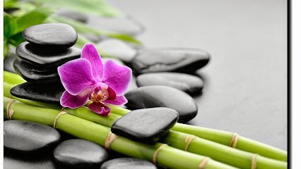 Teixeira Laetitia, Praticien de Médecine Alternative à Troyes