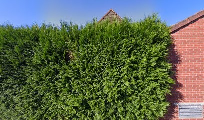 Luminame59, Praticien de Médecine Alternative à Violaines