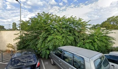 Jennifer DEL PINO, Praticien de Médecine Alternative à Grigny