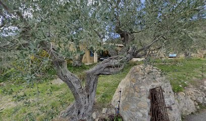 Emmassens, Praticien de Médecine Alternative à Seillans