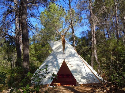 Terre des Veilleurs, Praticien de Médecine Alternative à Carnoules