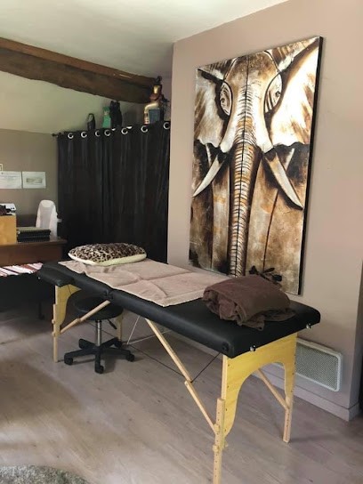 Valérie CARRE, Praticien de Médecine Alternative à Villette-sur-Ain