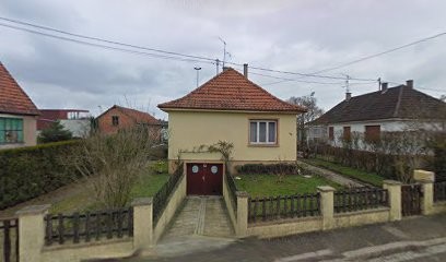 Fritz Nicole, Réflexologue à Seltz