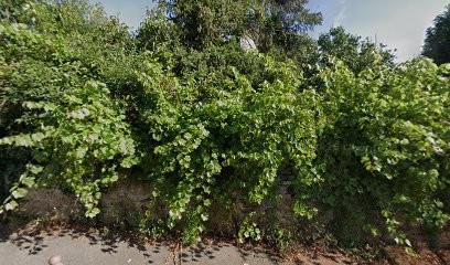 Cabinet Du TAO - Médecine Energétique Traditionnelle Chinoise/Japonaise - TUINA AN MO - Drainage/Diététique Chinoise, Praticien de Médecine Alternative à Saint-Fargeau-Ponthierry
