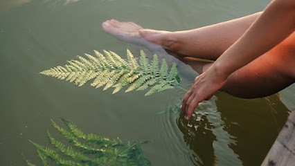 Réflexologie Plantaires Et Palmaires Véronique Williame, Réflexologue à Glageon