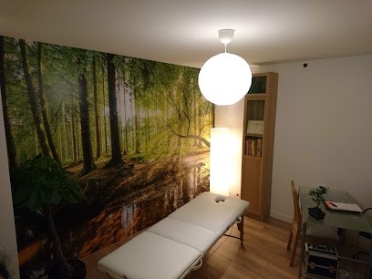 Cabinet De Shiatsu - Praticien En Energie Chinoise - Massage - Alexandre Oudard, Praticien de Médecine Alternative à Commenchon