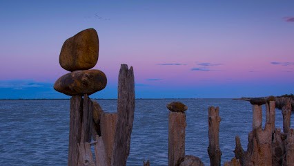 Fleurs De Bach Courthézon Corinne Pouizin, Praticien de Médecine Alternative à Courthézon
