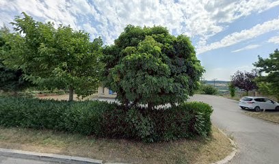 Sylvaine Bertola HYPNOSE, EMDR, PREPARATION MENTALE SPORTIF, Hypnothérapeute au Grand-Serre