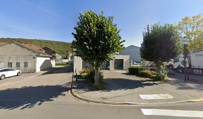 Dominique PERRIN-LEJOUR Sophrologue, Praticien de Médecine Alternative à Froncles