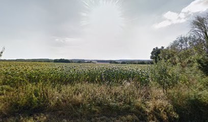 Jean Fabien Laurencin Thérapeute, Praticien de Médecine Alternative à Châtillon-sur-Loire