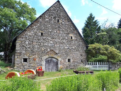 Cabinet phoenix, Praticien de Médecine Alternative à Saint-Étienne-aux-Clos