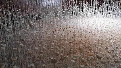 Agnès Travers Hypnothérapeute, Hypnothérapeute à Kervignac