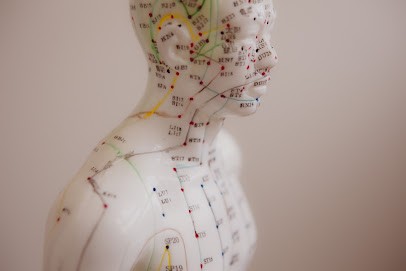 Centre Sheng Qi, Arts de santé Sino-Japonais, Brocéliande, Praticien de Médecine Alternative à Gaël