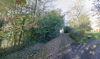 Réflexologie Plantaire Et Médecine Traditionnelle Chinoise, Réflexologue à Ploërmel