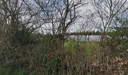 Françoise Labbé - thérapeute en ostéopathie fluidique et énergétique, Praticien de Médecine Alternative à Sainte-Christine