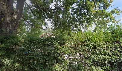 SG HYPNOSE COACHING, Hypnothérapeute au Breuil