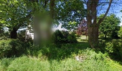 Caroline Meyer- Naturopathe- Réflexologie Plantaire, Praticien de Médecine Alternative à Pont-Croix