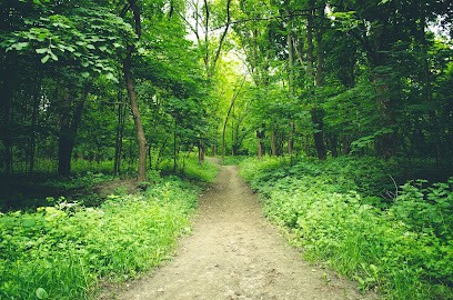 Emmanuel Broto - Sophro-analyse - Constellations Familiales, Praticien de Médecine Alternative à Marseille 05