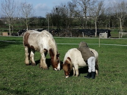 COUP DE SOUFFLE - Équi-Sophrologie - Séances de Sophrologie accompagnées par la présence du cheval (Tout Public), Praticien de Médecine Alternative à Montournais