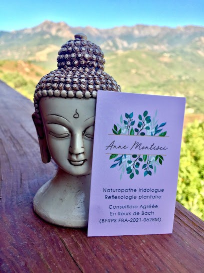 ANNE MONTISCI NATUROPATHE IRIDOLOGUE REFLEXOLOGUE CONSEILLERE AGREEE EN FLEURS DE BACH, Réflexologue à Peri