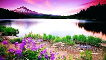 Anne Barbou Praticienne en Hypnose Sajèce, Thérapeute en énergétique, LaHochi, Reiki, guérisseur de lumière, Hypnothérapeute au Thillay