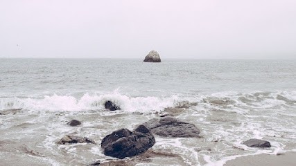 Praticienne Bien-être : Réflexologie, Fleurs De Bach, Technique Métamorphique, ..., Réflexologue à Peyriac-de-Mer