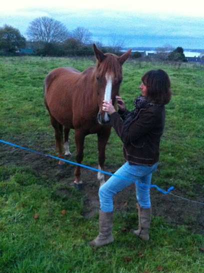 Mme Yannick MURET Magnétiseur, soins énergétiques A DOMICILE, HÔPITAUX EHPAD, Praticien de Médecine Alternative à Plouër-sur-Rance