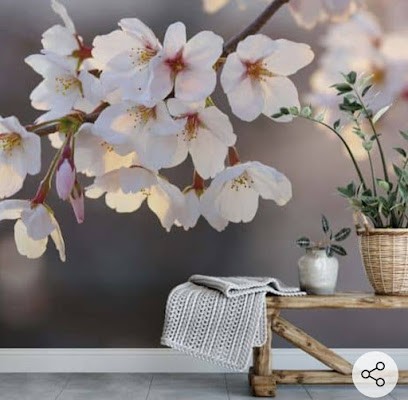 A'corps Et Equi'Libre - Réflexologie Et Massages Bien-être Dans Le Jura, Réflexologue à Crotenay