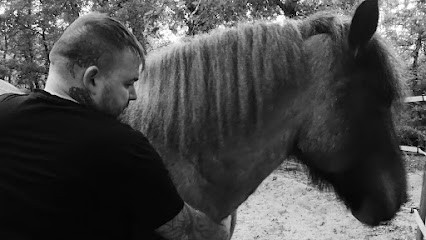 Graine de Reiki Alexandre Riché praticien et enseignant de Reiki, Praticien de Médecine Alternative à Bargemon