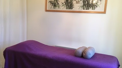 Energétique Chinoise Et Thérapies Brèves - Audrey Huault 05300 Saléon, Praticien de Médecine Alternative à Saléon