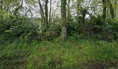 Hypnose Bretagne Sud, Hypnothérapeute à Peillac