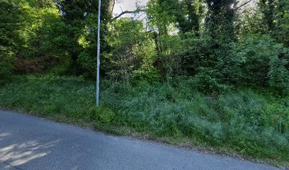 Magnétiseuse Rebouteuse, Praticien de Médecine Alternative à Saint-Lattier