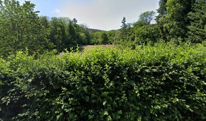 Julie DUBOIS, Hypnothérapeute à Gunsbach