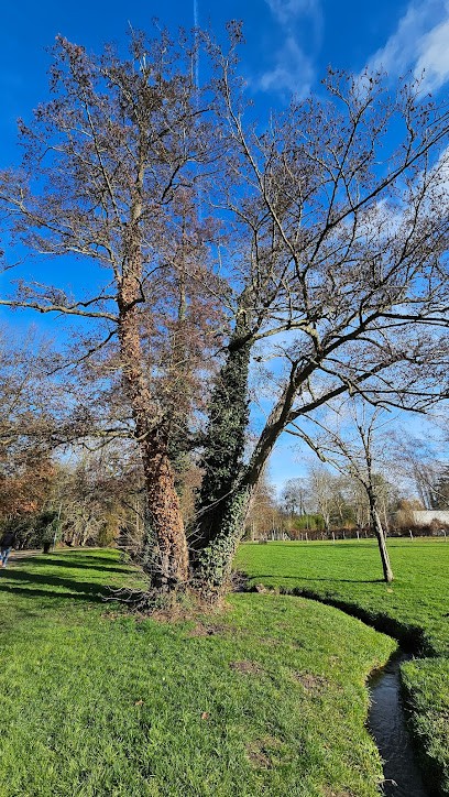 Gif Sur Yvette, Praticien de Médecine Alternative à Gif-sur-Yvette