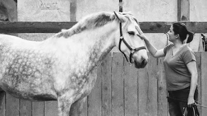 Camille ZANUS, Praticien de Médecine Alternative à Mottier