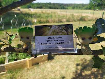 Dilermando Magnétiseur, Praticien de Médecine Alternative à Roaillan