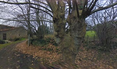 Pantxika PATERNE - Praticienne en psycho-bio-acupressure (Pays Basque), Praticien de Médecine Alternative à Sare