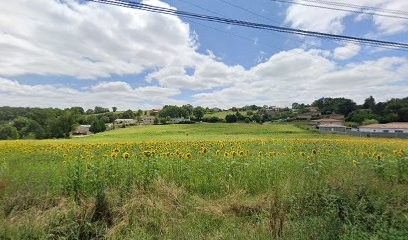 Alain Ste-Marie - Cabinet De Kinésiologie, Praticien de Médecine Alternative à Empeaux