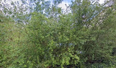 Isabelle Bernard Rebouteuse Magnetiseuse, Praticien de Médecine Alternative à Villiers-sur-Suize