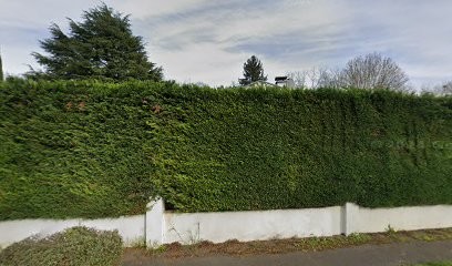 AloeMagique, Praticien de Médecine Alternative à Lésigny