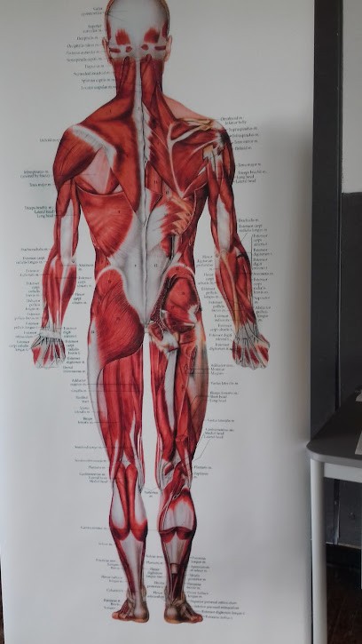 Guylaine Groisil - Magnetisme - Harmonisation De L'être, Praticien de Médecine Alternative à Chailles