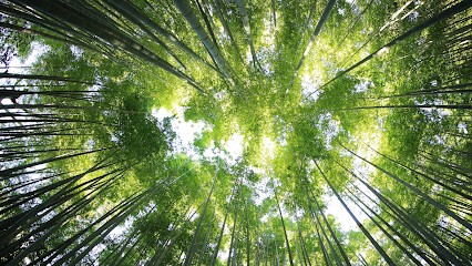 Chantal Auffray Hypnose, Hypnothérapeute au Pellerin