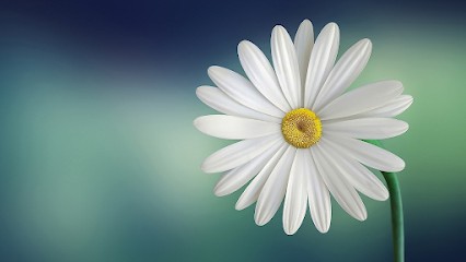 LS. Zen - Sophrologie & Relaxation, Praticien de Médecine Alternative à Roberval