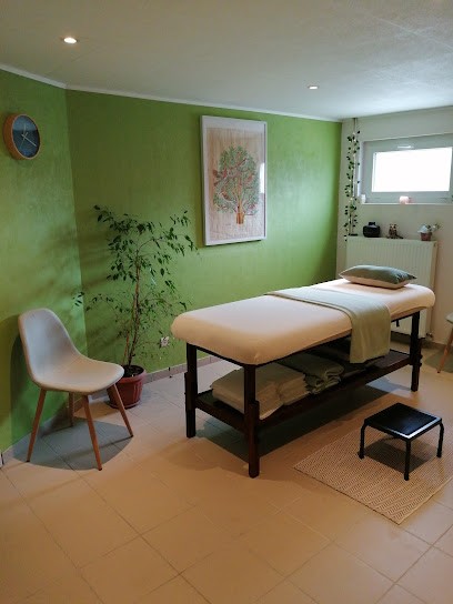 Cabinet Naturazen Magnétiseur Relaxologue, Praticien de Médecine Alternative à Dammartin-en-Goële