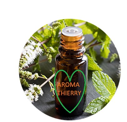 Aromathérapie-thierry, Praticien de Médecine Alternative à Épinay-sur-Orge