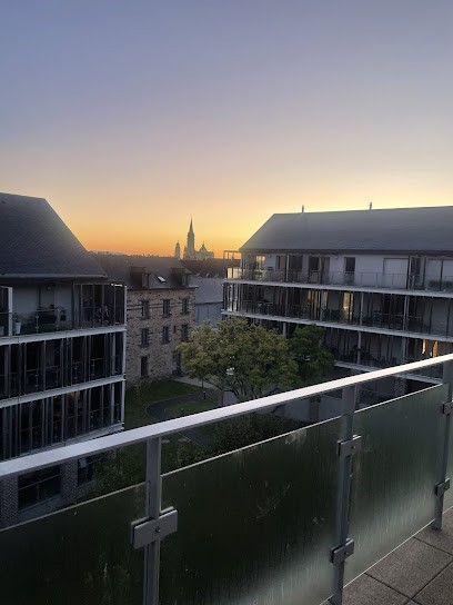 YLAE Magnétiseur, Praticien de Médecine Alternative à Vitré