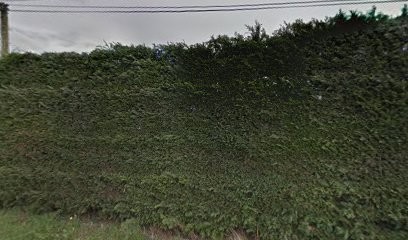 Cabinet de réflexologie Maryse JOUNEAU, Réflexologue à Loireauxence